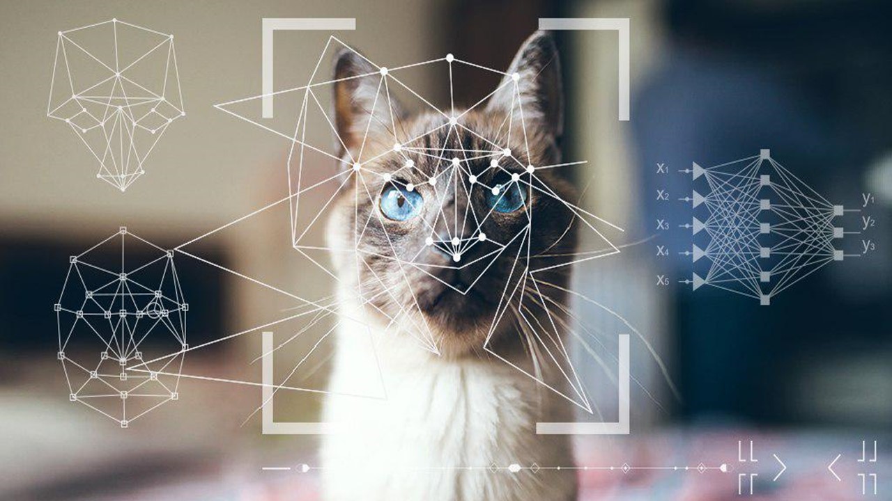 Read more about the article Невронни мрежи-възможности и перспективи